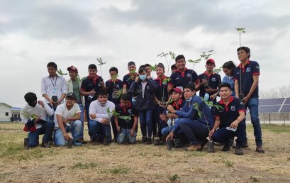 DÍA DEL ÁRBOL