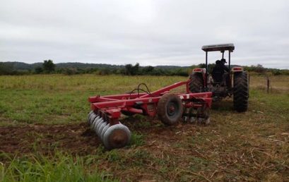 Últimos detalles para EL DÍA DE CAMPO DE EXPOSICIÓN Y DEMOSTRACIONES DE LA CARRERA DE AGROPECUARIA