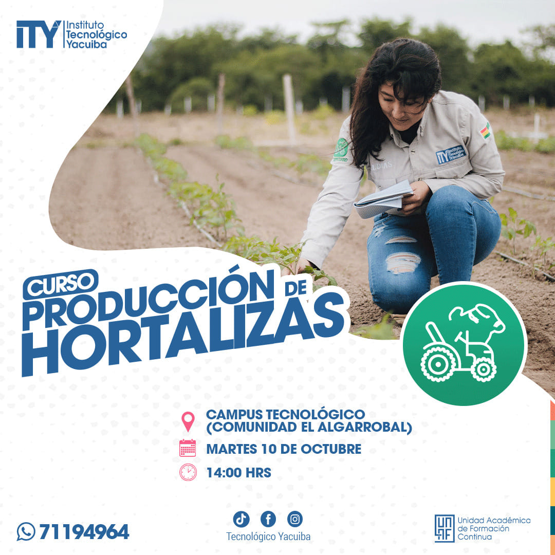 Aprenda las mejores técnicas agrícolas para producir tus propias verduras Aprenda las mejores técnicas agrícolas para producir tus propias verduras