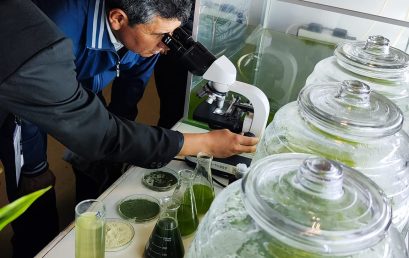 Primer Premio  para el Instituto Tecnológico Yacuiba ITY. Carrera Química Industrial.