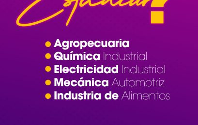Te ofrecemos una amplia gama de carreras