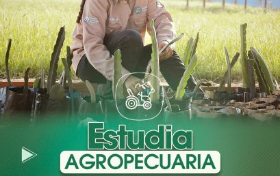 Conviértete en un experto en Agropecuaria y ayuda en la sostenibilidad alimentaria