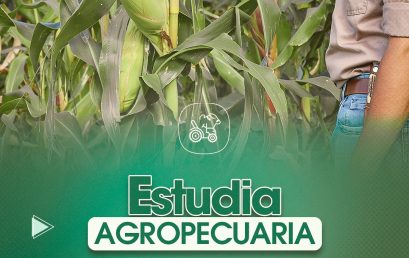 ¡Aprende todo sobre Agricultura y recursos naturales!